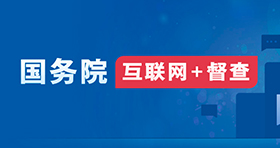 国务院 互联网+督查